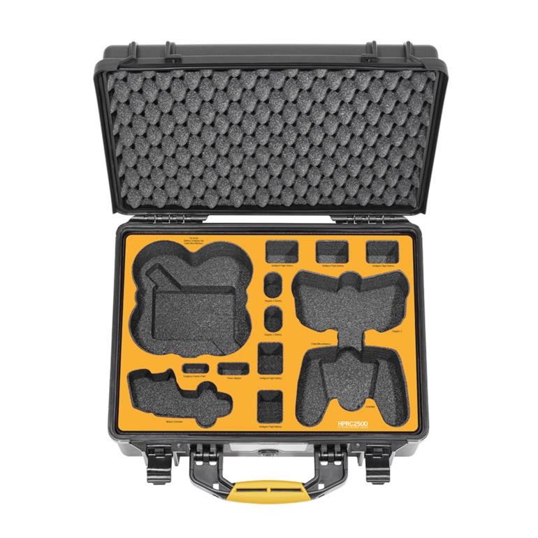 HPRC2500 for DJI Avata Pro - View Combo